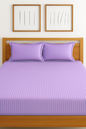 Comfort Shoppy 250 TC Cotton King Striped Flat Bedsheet  (Pack of 1, Lavender Color)